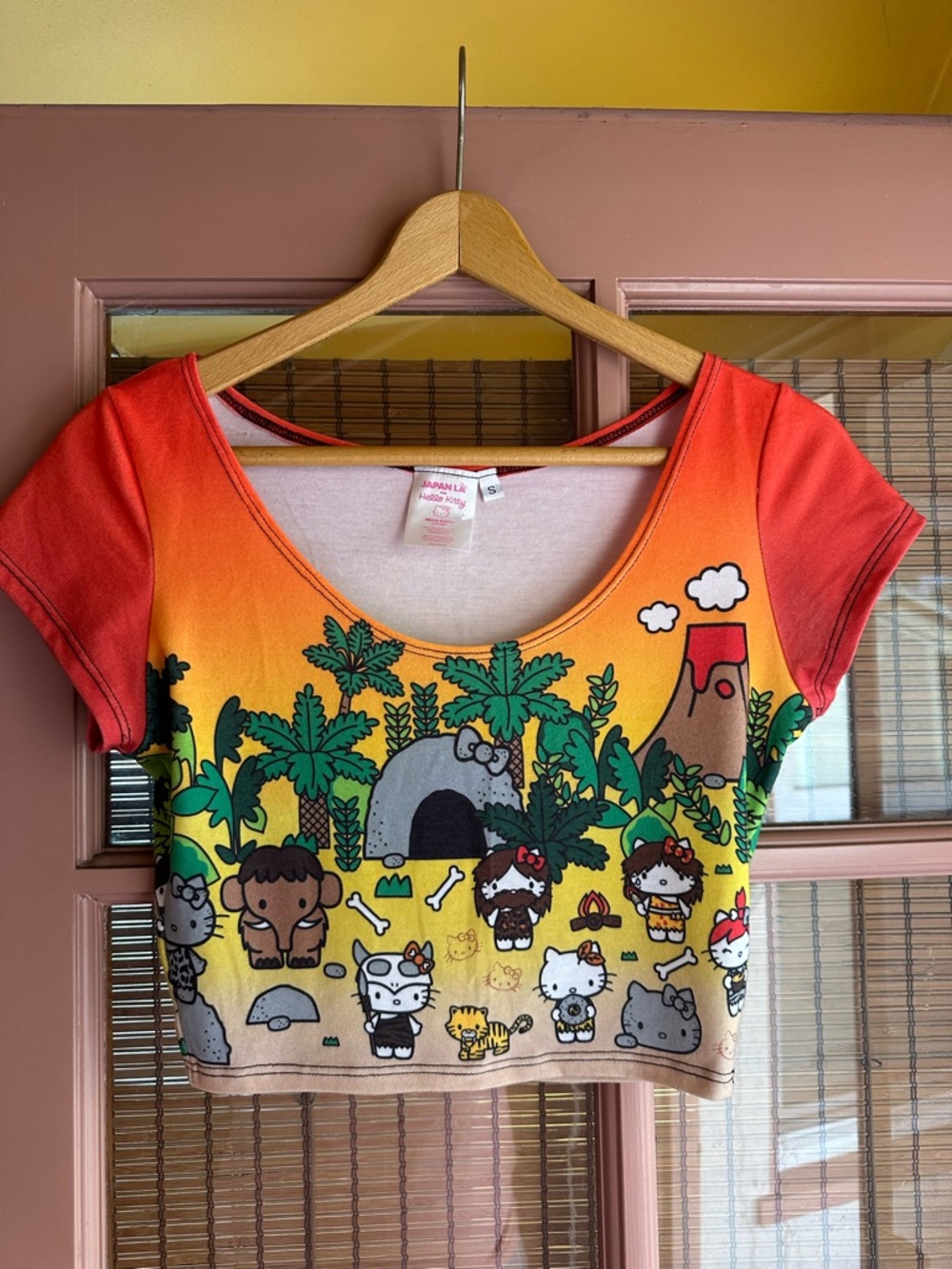 Japan La x Hello Kitty Cropped Tee